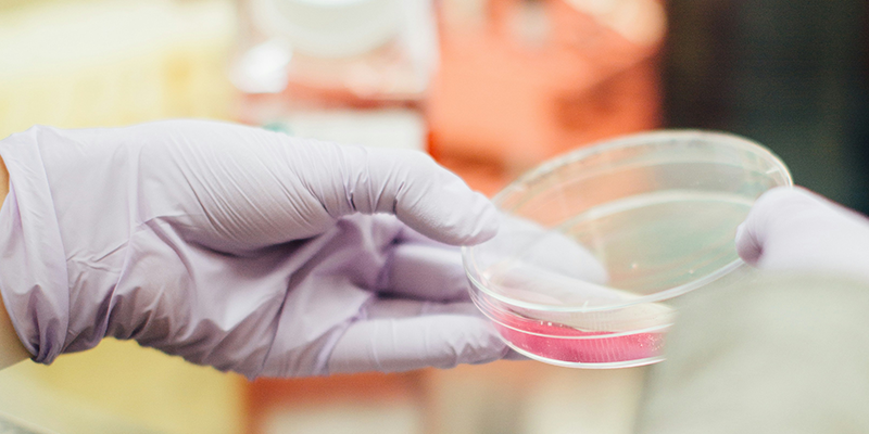 活菌計數效率瓶頸如何破？博大博聚微生物細胞計數儀的實踐方案